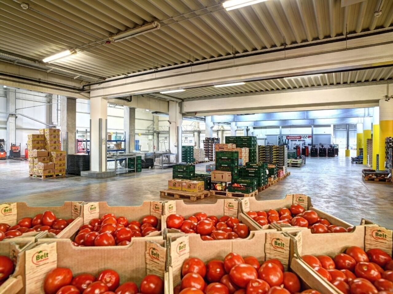 Frische Vielfalt, nachhaltig gekühlt